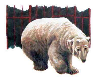 Фрам — полярный медведь - i_019.jpg