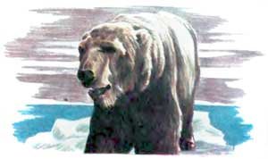 Фрам — полярный медведь - i_079.jpg