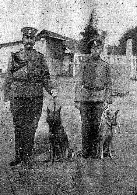 Руководство дрессировки полицейских и военных собак - i_031.jpg