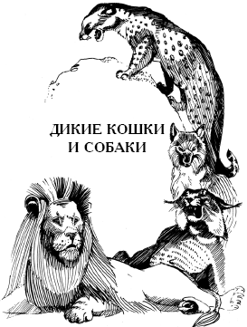 Энциклопедия животных - i_014.png