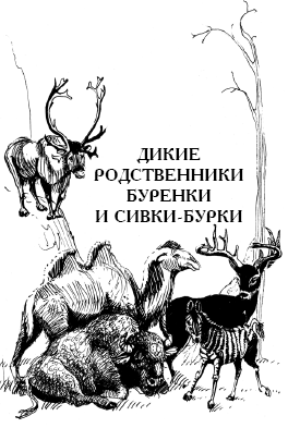 Энциклопедия животных - i_021.png