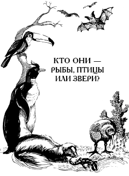 Энциклопедия животных - i_088.png