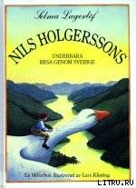 Книга Nils Holgerssons underbara resa genom Sverige