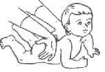 Оздоровительный массаж в домашних условиях : пособие для родителей - img_2.jpg