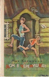 Книга Дом в Черёмушках