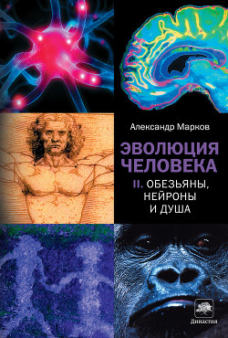 Книга Эволюция человека том 2: Обезьяны нейроны и душа