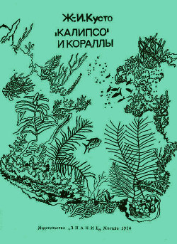 Книга «Калипсо» и кораллы