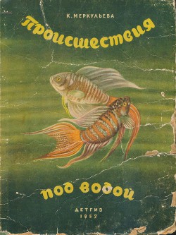 Книга Происшествия под водой