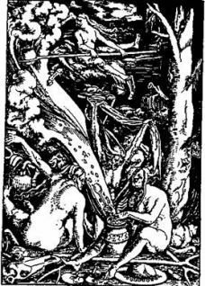 Бич и молот. Охота на ведьм в XVI-XVIII веках (с иллюстрациями) - pic_1.jpg