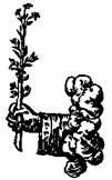 Бич и молот. Охота на ведьм в XVI-XVIII веках (с иллюстрациями) - pic_138.jpg