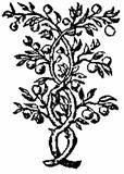 Бич и молот. Охота на ведьм в XVI-XVIII веках (с иллюстрациями) - pic_170.jpg