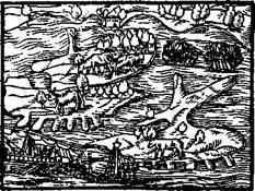 Бич и молот. Охота на ведьм в XVI-XVIII веках (с иллюстрациями) - pic_190.jpg