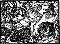 Бич и молот. Охота на ведьм в XVI-XVIII веках (с иллюстрациями) - pic_198.jpg