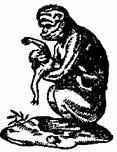 Бич и молот. Охота на ведьм в XVI-XVIII веках (с иллюстрациями) - pic_201.jpg