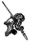 Бич и молот. Охота на ведьм в XVI-XVIII веках (с иллюстрациями) - pic_223.jpg