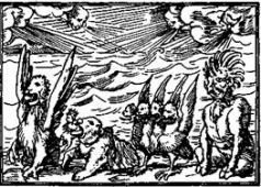 Бич и молот. Охота на ведьм в XVI-XVIII веках (с иллюстрациями) - pic_23.jpg