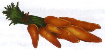 Морковка Семнадцатая [с иллюстрациями] - _28.jpg