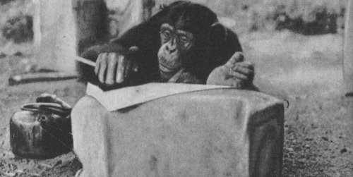 Шимпанзе горы Ассерик - i_069.jpg