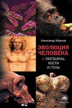 Книга Эволюция человека. Книга 1. Обезьяны, кости и гены