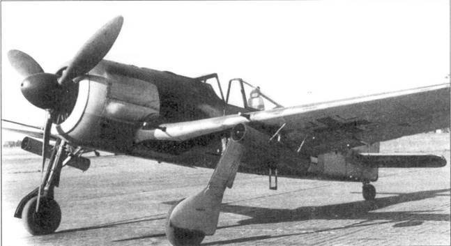 Асы люфтваффе пилоты Fw 190 на Западном фронте - pic_1.jpg