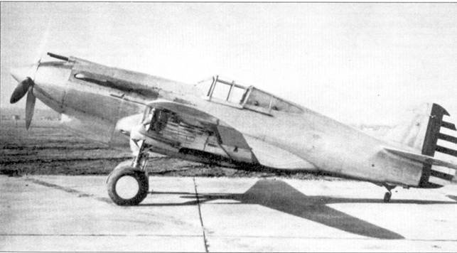 Curtiss P-40 Часть 1 - pic_23.jpg