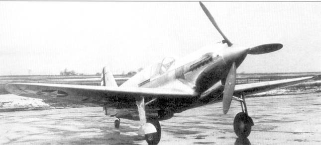 Curtiss P-40 Часть 2 - pic_114.jpg