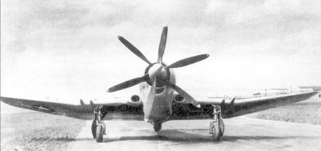 Curtiss P-40 Часть 2 - pic_135.jpg