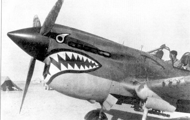 Curtiss P-40 часть 4 - pic_2.jpg