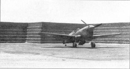 Curtiss P-40 часть 4 - pic_3.jpg