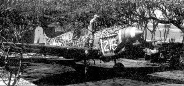 Curtiss P-40 часть 4 - pic_81.jpg