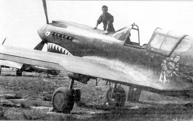 Curtiss P-40 часть 4 - pic_90.jpg