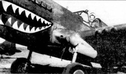 Curtiss P-40 часть 4 - pic_95.jpg