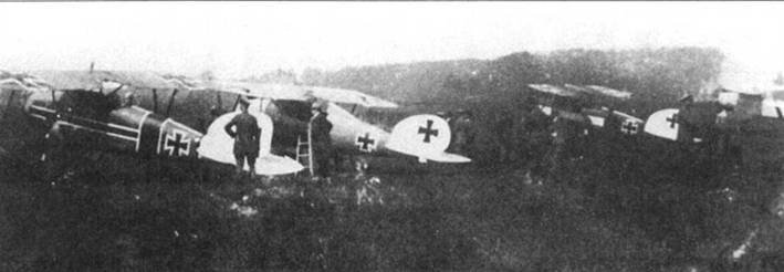 Боевое применение Германских истребителей Albatros в Первой Мировой войне - pic_11.jpg