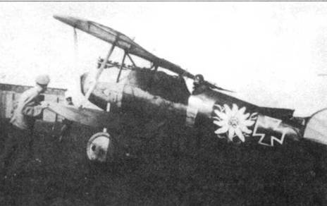 Боевое применение Германских истребителей Albatros в Первой Мировой войне - pic_13.jpg