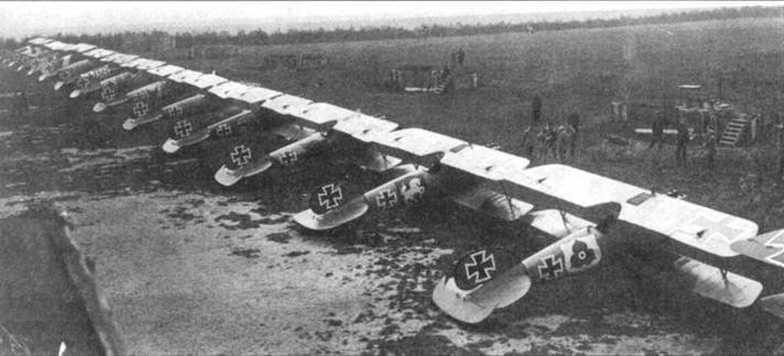 Боевое применение Германских истребителей Albatros в Первой Мировой войне - pic_20.jpg