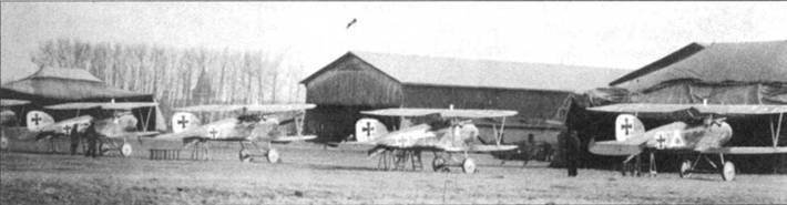 Боевое применение Германских истребителей Albatros в Первой Мировой войне - pic_46.jpg