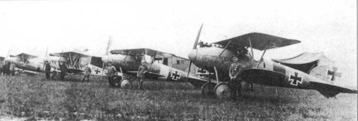 Боевое применение Германских истребителей Albatros в Первой Мировой войне - pic_48.jpg