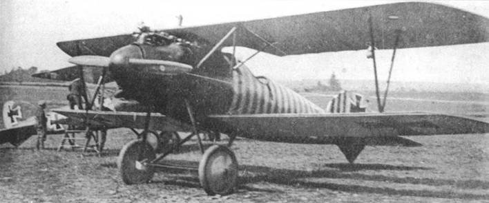 Боевое применение Германских истребителей Albatros в Первой Мировой войне - pic_52.jpg