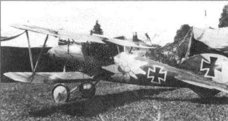 Боевое применение Германских истребителей Albatros в Первой Мировой войне - pic_60.jpg