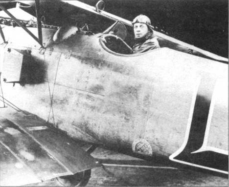 Боевое применение Германских истребителей Albatros в Первой Мировой войне - pic_66.jpg