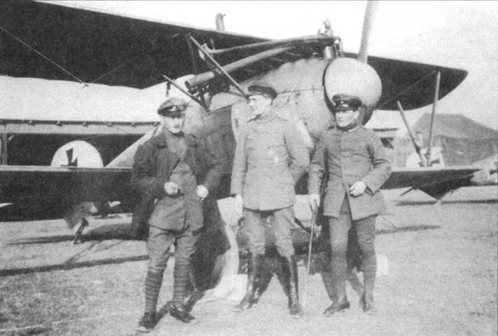 Боевое применение Германских истребителей Albatros в Первой Мировой войне - pic_67.jpg