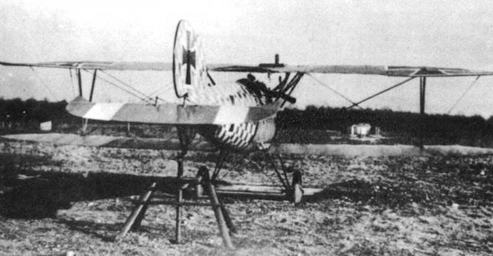 Боевое применение Германских истребителей Albatros в Первой Мировой войне - pic_101.jpg