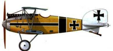 Боевое применение Германских истребителей Albatros в Первой Мировой войне - pic_120.jpg