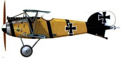 Боевое применение Германских истребителей Albatros в Первой Мировой войне - pic_122.jpg