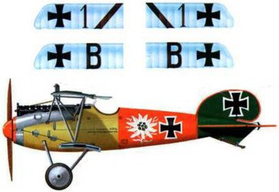 Боевое применение Германских истребителей Albatros в Первой Мировой войне - pic_123.jpg