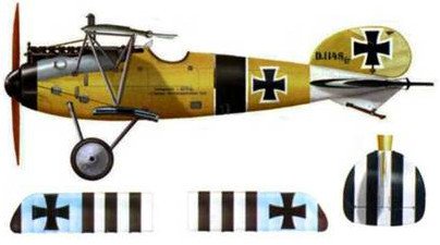 Боевое применение Германских истребителей Albatros в Первой Мировой войне - pic_127.jpg
