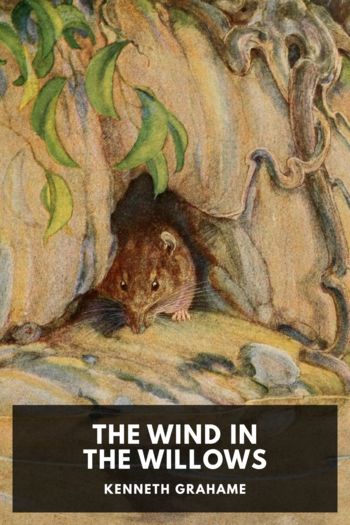 Книга The Wind in the Willows