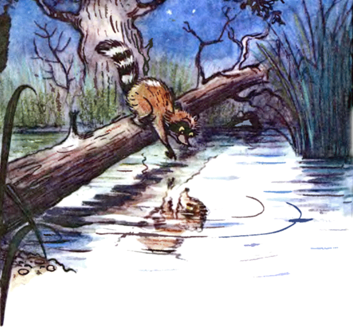 Крошка Енот и тот, кто сидит в пруду - image15.png