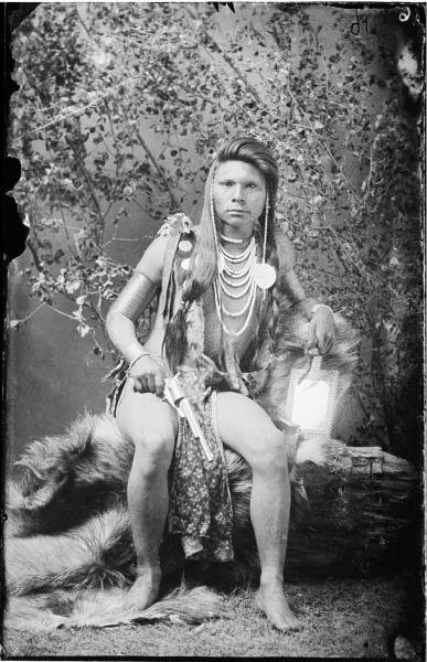 Сила шаманов. Боевая и лечебная магия индейцев Дикого Запада - i_023.jpg