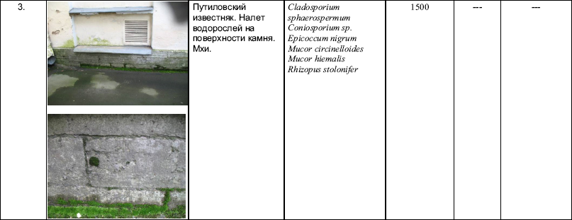 Типология разрушений памятников культуры - i_128.png